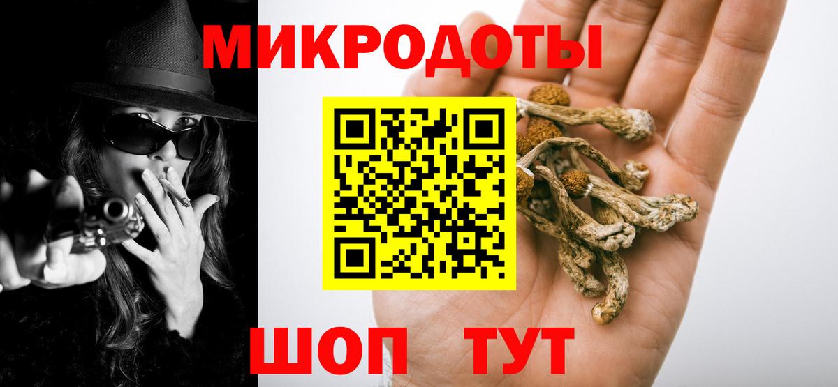 Мценск  Галлюциногенные грибы Psilocybine cubensis  Вход с VPN 
